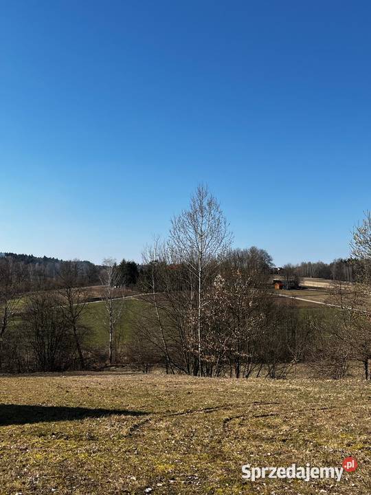 Sprzedam działkę budowlaną Lubomierz gmina Sprzedaż
