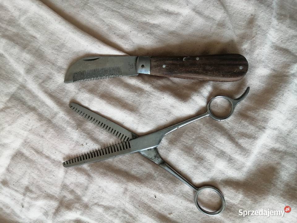 nożyczki degażówki konia Legnica sprzedam