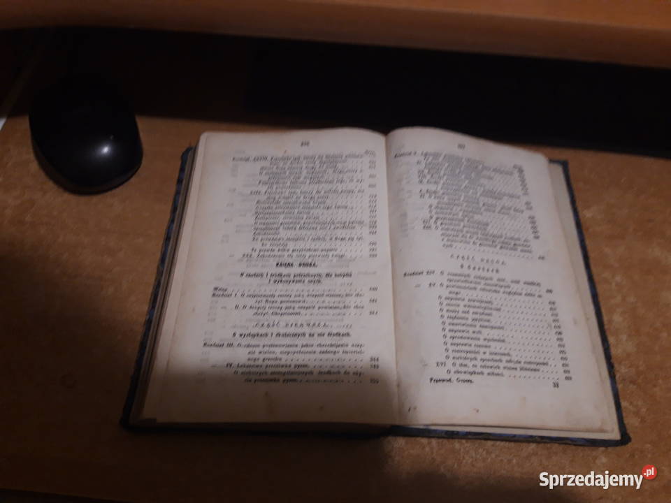 PRZEWODNIK GRZESZNIKÓW ŚwLudwika z Grenady Iwno