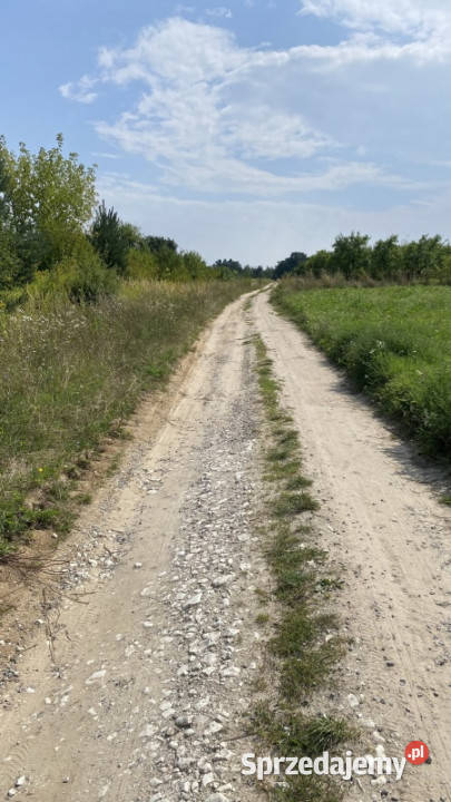 Piękna Działka na Wsi Okale k Kazimierz Dolnego lubelskie Kazimierz Dolny