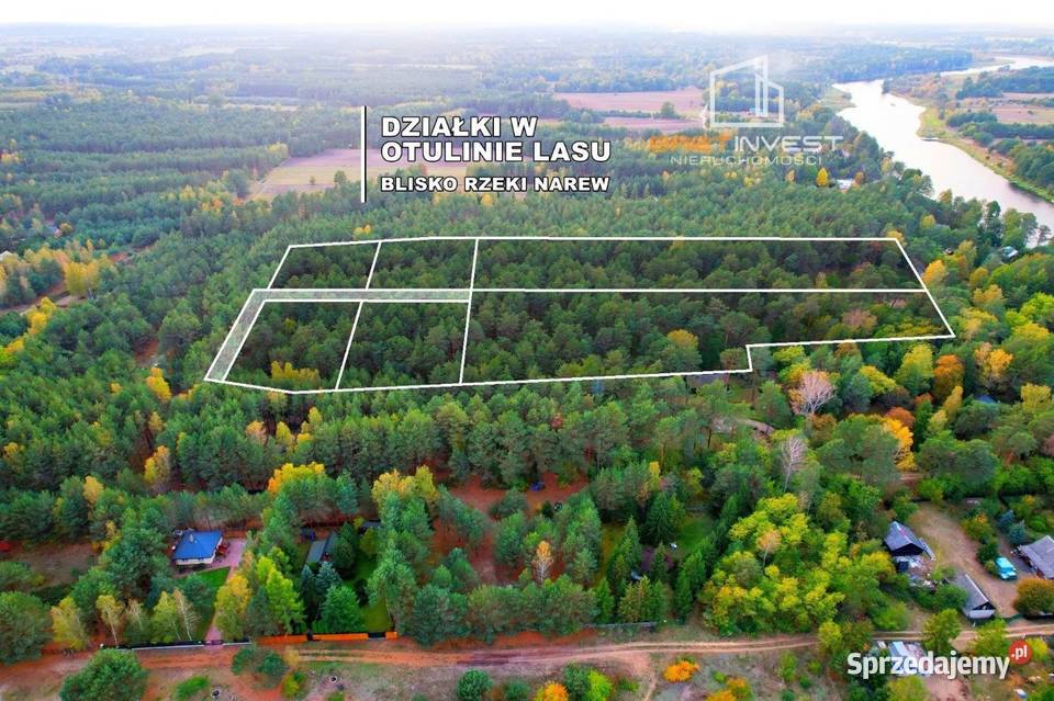 Duża nieruchomość w pięknej lokalizacji ok 32 ha 280m Wólka-Wojciechówek sprzedam