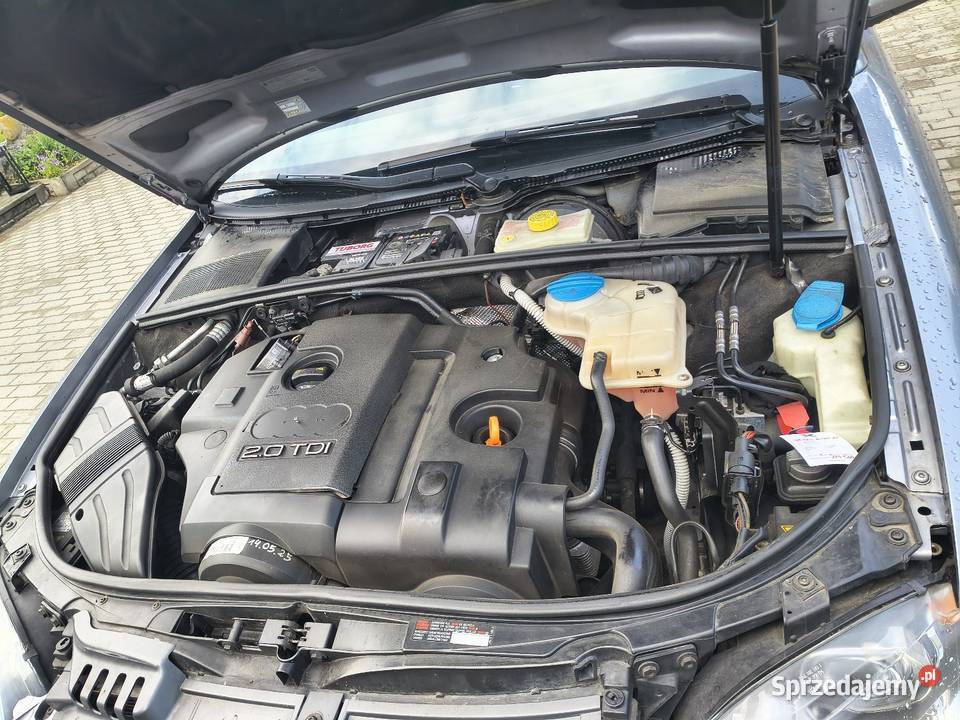 Audi a4 B7 Avant Motoryzacja Łosośniczka