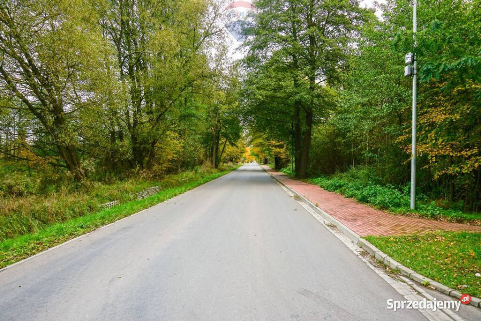 Działka 2533m2 pod usługi Radziejowice Parcel 50m Radziejowice-Parcel sprzedam