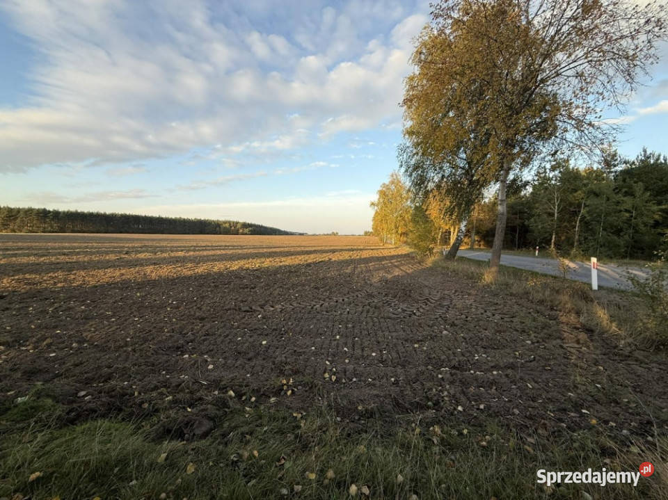 SPRZEDAŻY DŁUGOTERMINOWEJ DZIERŻAWY ŻWIROWNI wielkopolskie Kochowo