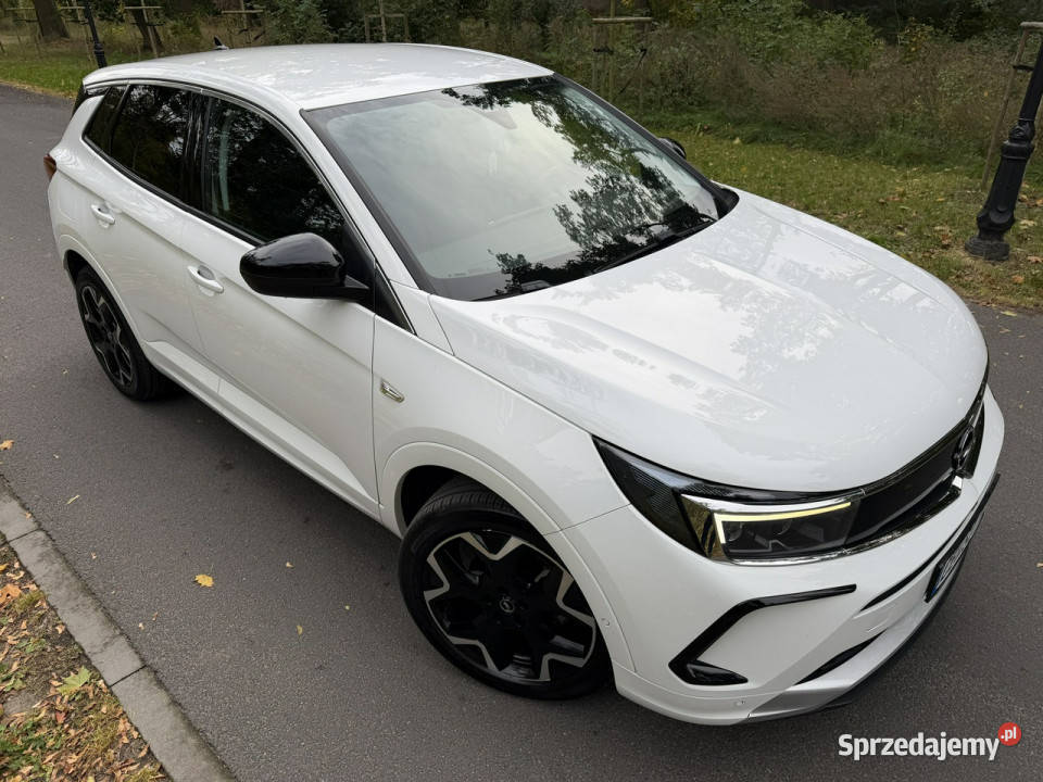 Opel Grandland 15 CDTI 130 Full Led Navi Automat podgrzewane fotele Józefkowo