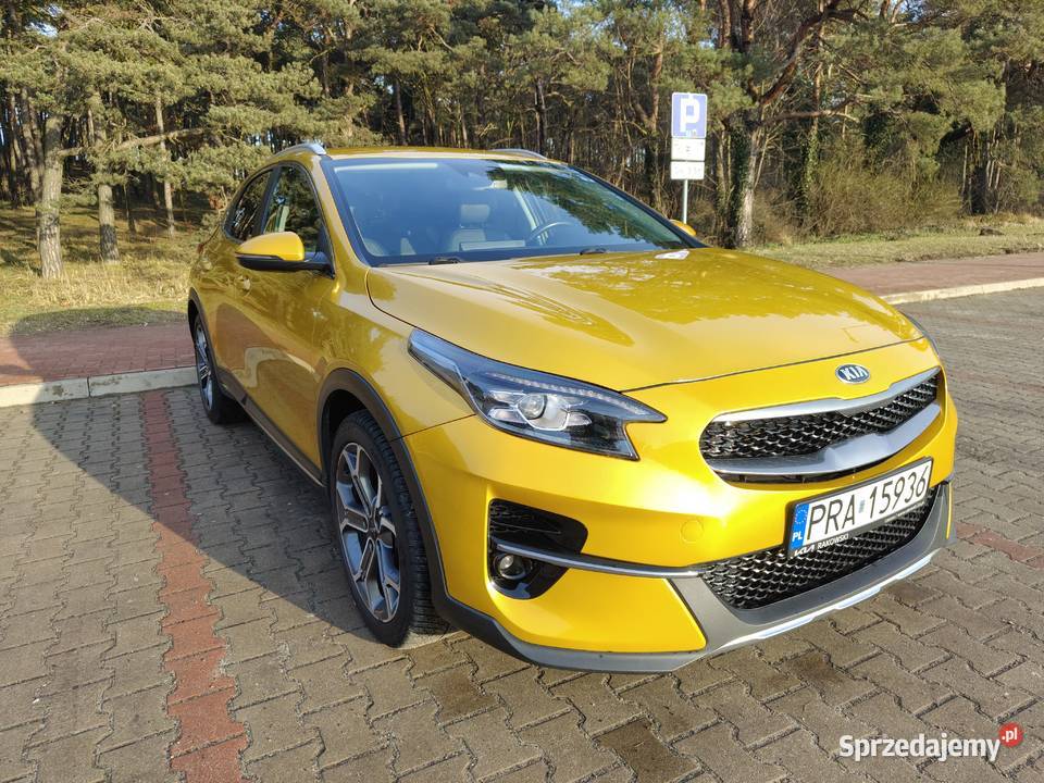 Kia XCeed 16 crdi 2020 salon Polska wielkopolskie Rawicz