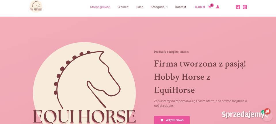 Strony Internetowe Tworzenie Stron WWW Sklepy Poznań