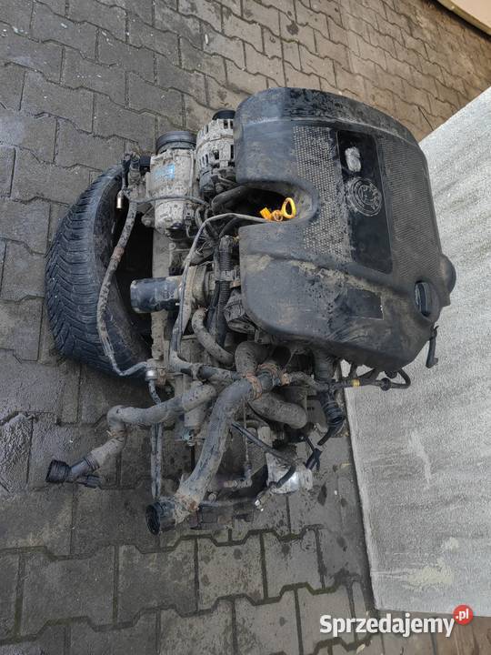 Silnik 16 golf iv Bora Audi a3 Skoda octavia Mieszkowice