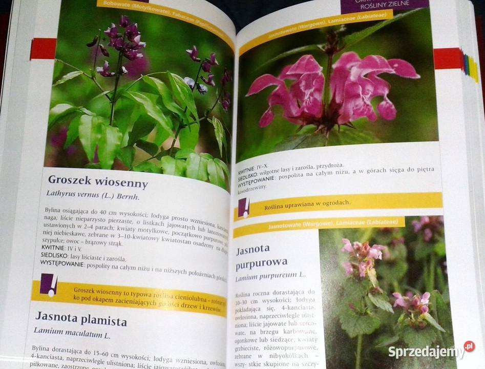 Atlas roślin Pascal Renata KrzyściakKosińska M Pozostałe