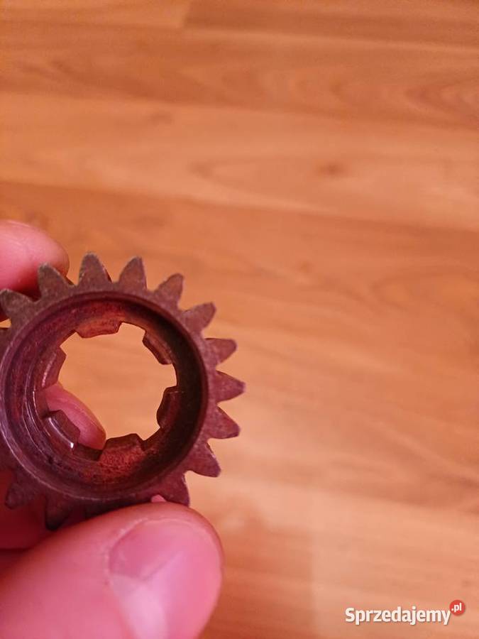 Koło zębate 19z shl m11 dolnośląskie