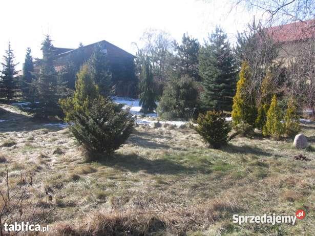 Niespotykana superoferta pośredników na 0 60zł/m2 łódzkie Łódź sprzedam