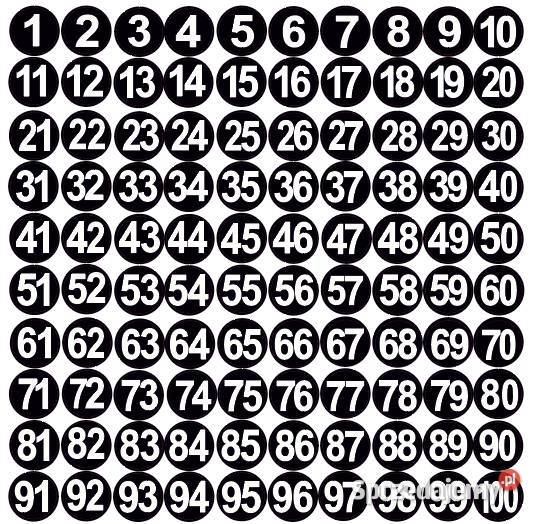 Naklejki liczby białe na czarnym tle 1100 25 mm Kamionna