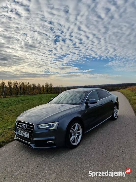 Audi A5 świętokrzyskie Klimontów