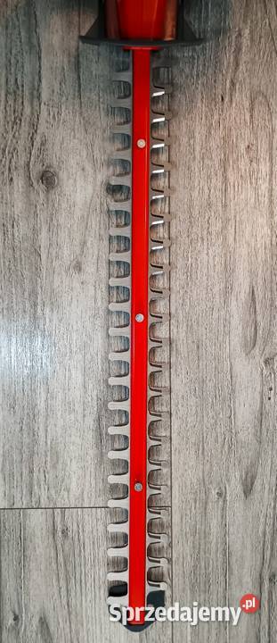 Akumulatorowe nożyce do żywopłotu Einhel ARCURRA łódzkie Pichlice