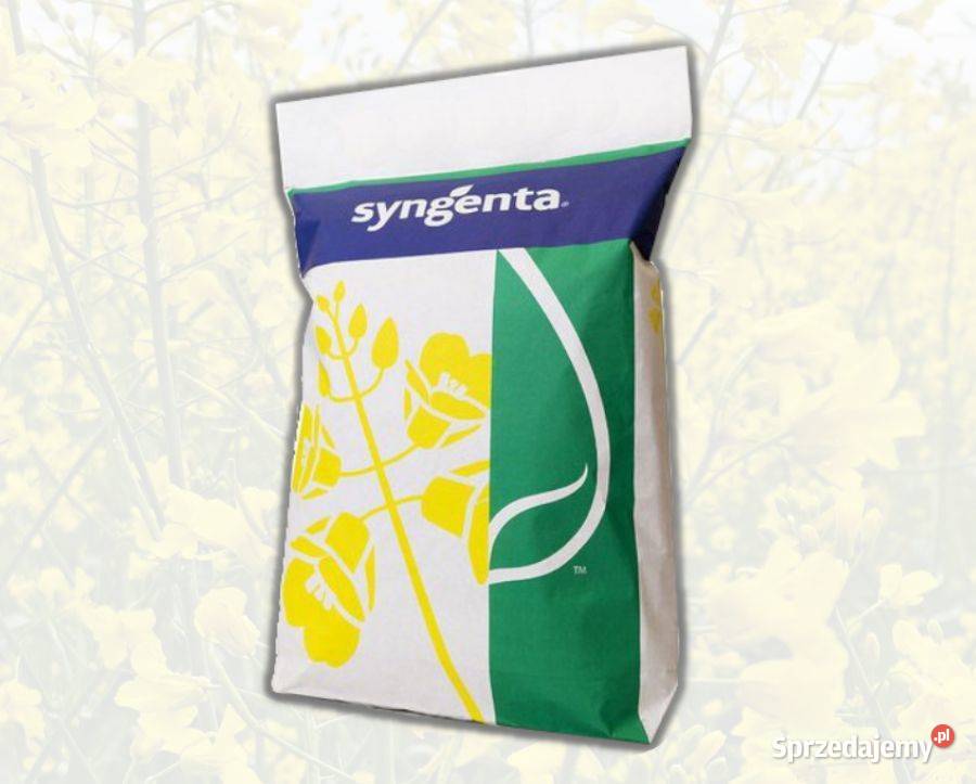 Rzepak SY Aganos Buteo Start Środa Wielkopolska