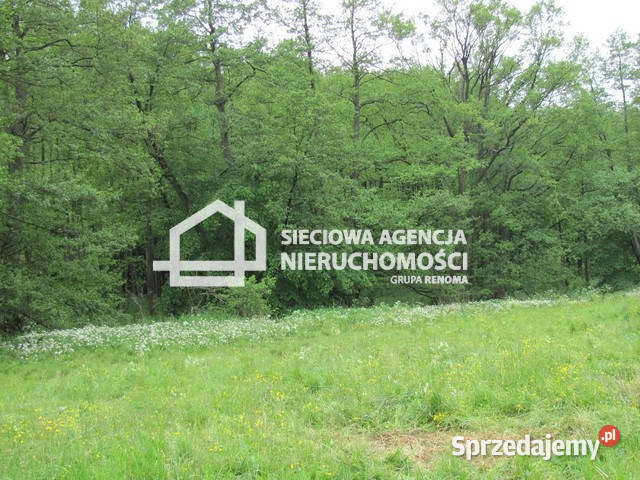 sprzedaży gruntu 5600m2 Marszewska Góra