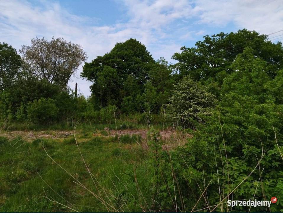 Działka z dostępem do mediów Możliwość zabudowy zachodniopomorskie Wilczogóra sprzedam