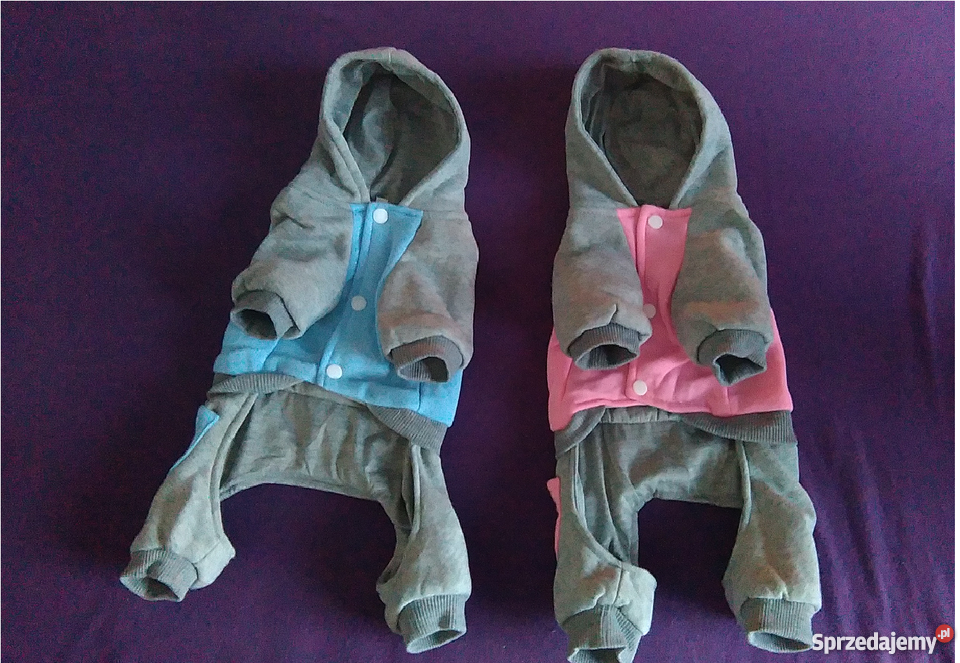 Ciepły dres pieska psa kość bluza spodnie S M Katowice