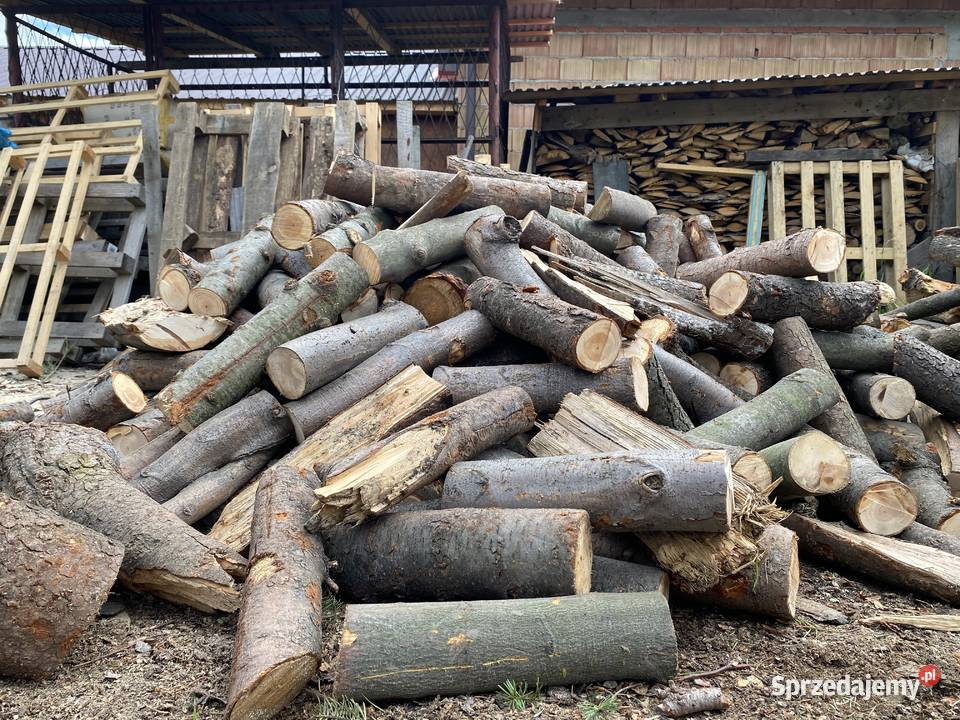 Buk i modrzew Drewno na opał sprzedam
