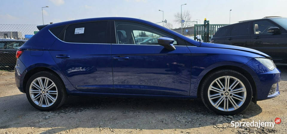 Seat Leon 14 Tsi 86 XCELLENCE III 2012 Pleszew