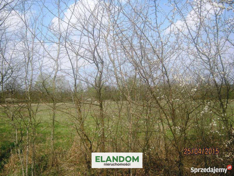 Sprzedam działkę rolną 24600m2 Władzin gaz Grunty i działki sprzedam