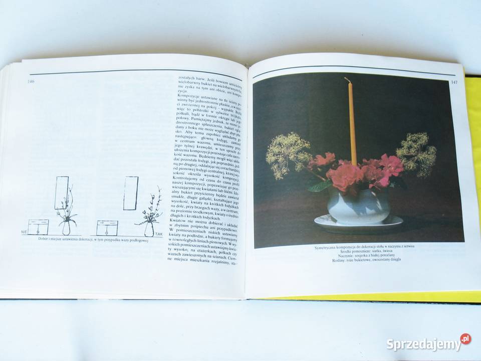 Układanki roślinne Joanna Szendel dom i ogród Poradniki, albumy i reportaże