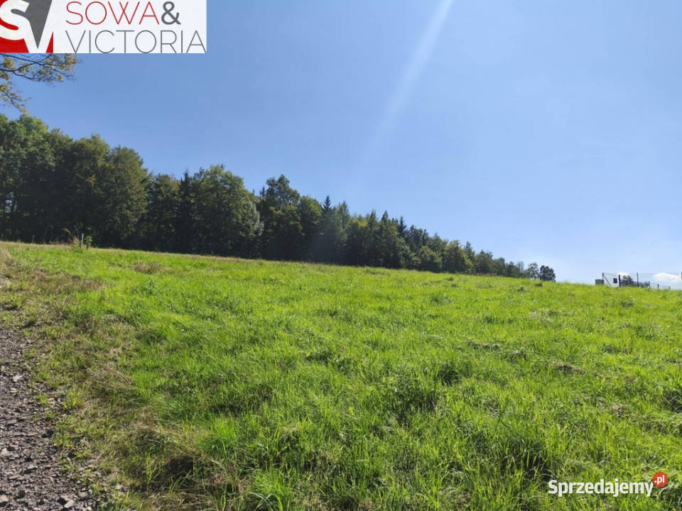 Działka w cichej uliczce z prądem dolnośląskie Głuszyca