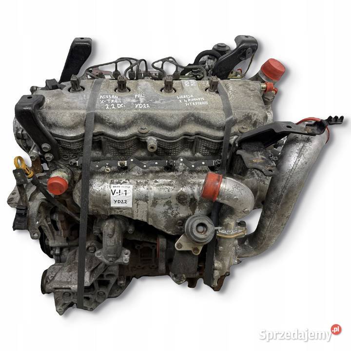 SILNIK Nissan XTrail Primera P12 22 DCI 136 4 Części samochodowe sprzedam