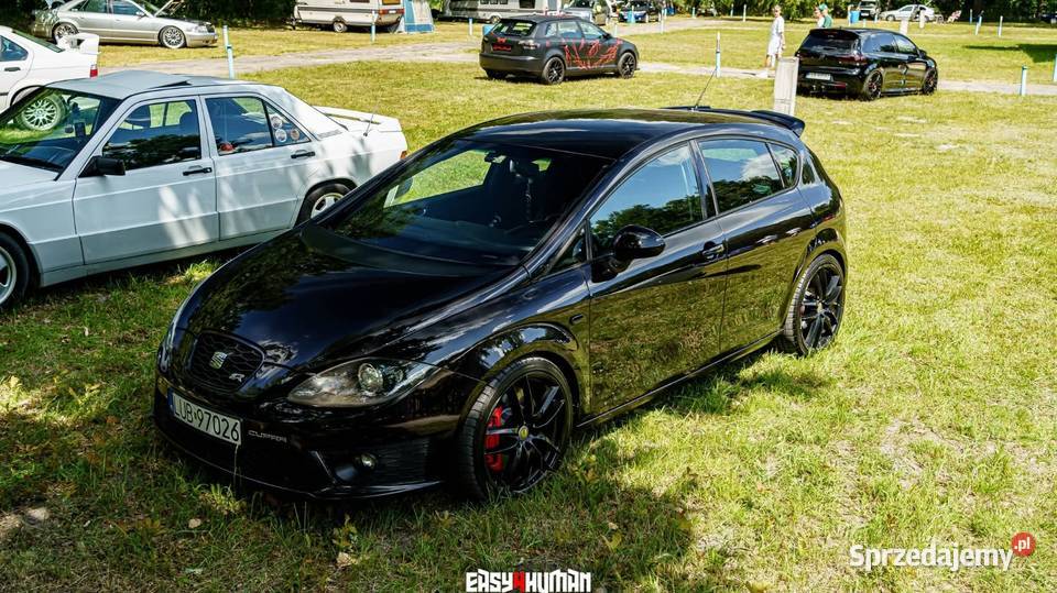 Seat Leon Cupra R CDLA 317 lubelskie Wólka