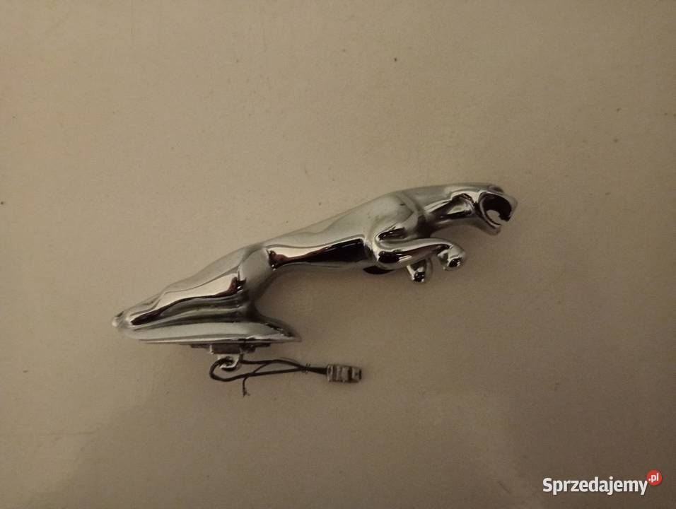 emblemat jaguar Pyrzyce