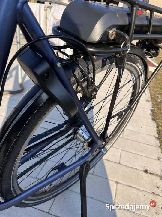Pegasus Siena łódzkie