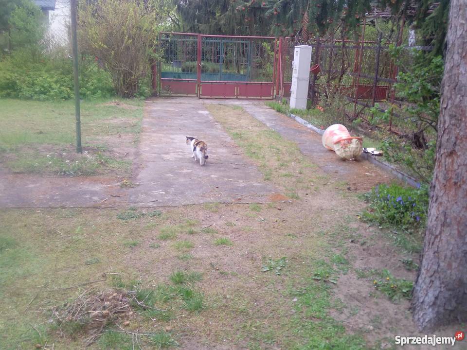 SPRZEDAM DZIAŁKĘ Z DOMKIEM Warszawa