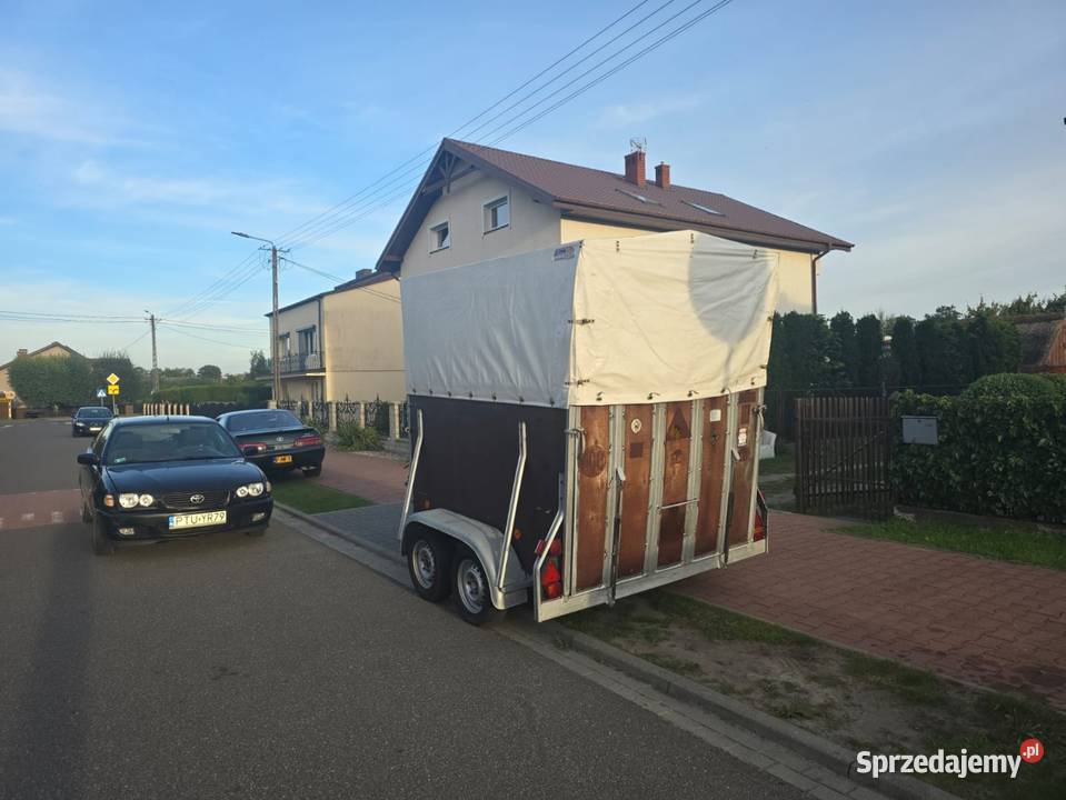 Sprzedam przyczepe do koni Osiniec