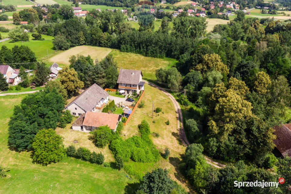 Dom siedlisko duża działka Grabie