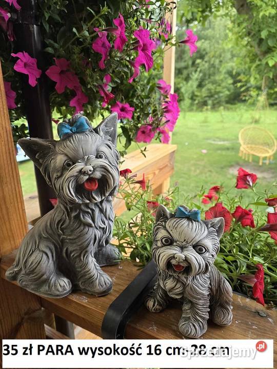 jeż gipsowy para jeży ogrodowe jeż ogrodowy Wrocław