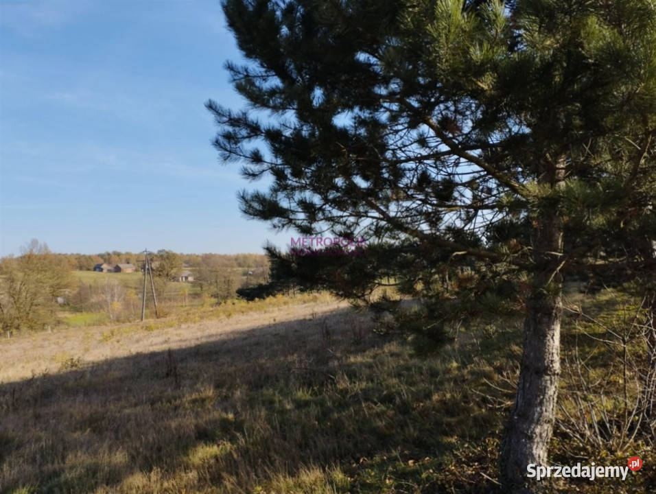 Ogłoszenie grunt 70000m2 Pstrążna