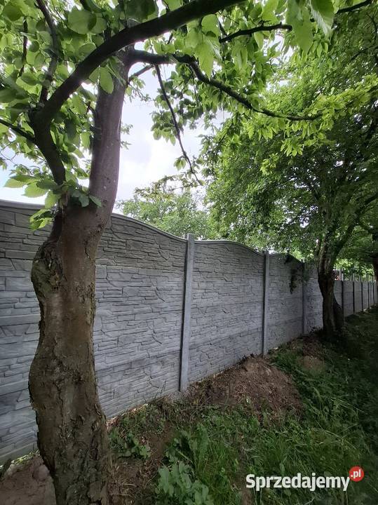 OGRODZENIA I BRAMY Białe