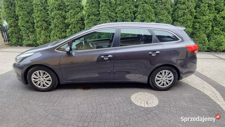 Kia Ceed Navi Kamera Cofania Led 135 GWARANCJA mazowieckie Płońsk sprzedam