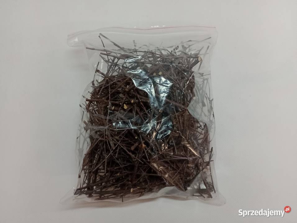 GAŁĄZKI BRZOZOWE 1 PATYCZKI BRZOZOWE KOŁKI Z Żagań