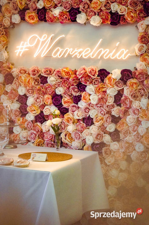 Sesja zdjęciowa Fotograf małopolska Niskie ceny Kraków