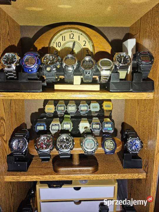 Zegarki CASIO kolekcja 100 Kolonowskie