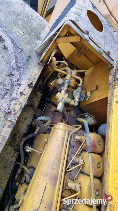 Hanomag D55 opolskie Lipniki sprzedam