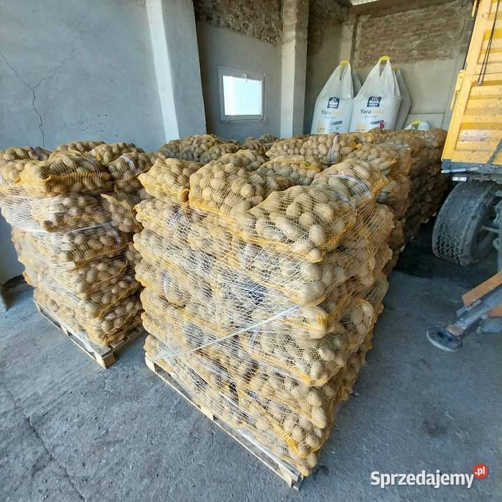 Sprzedam Ziemniaki Uściszowice