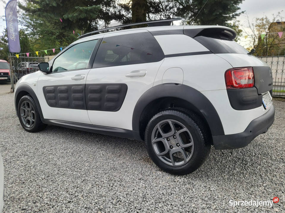Citroen C4 Cactus 16 100 100 Oryginał 100 łódzkie Pabianice