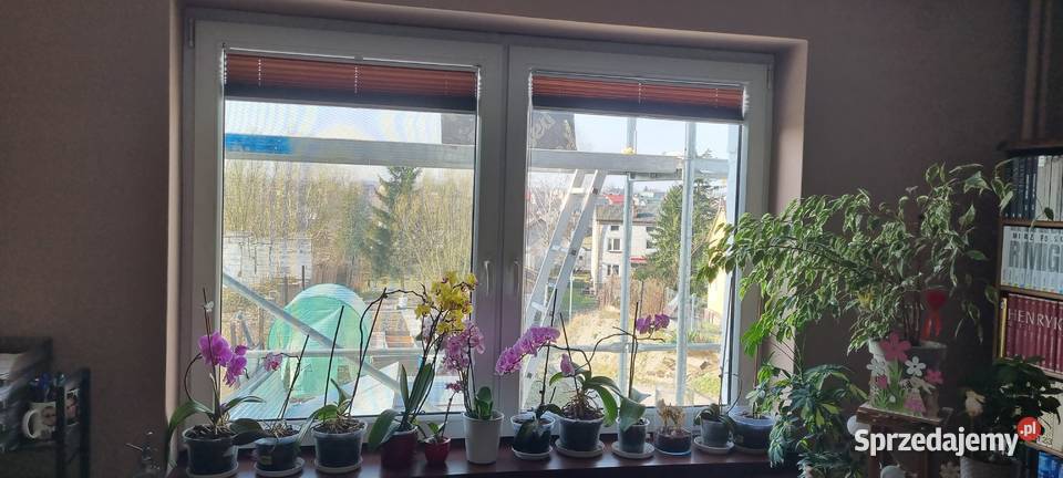Okno dwuszybowe 205 szer 144 wys używane Jędrzejów sprzedam