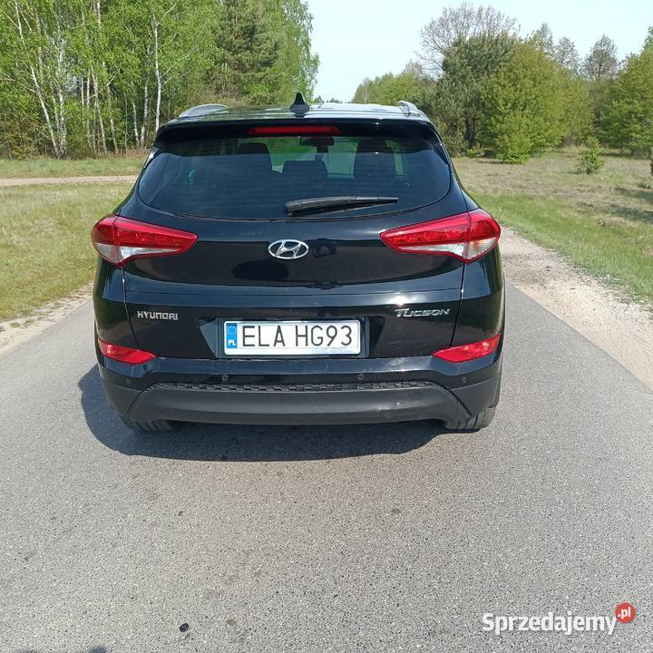 Hyundai Korzeń