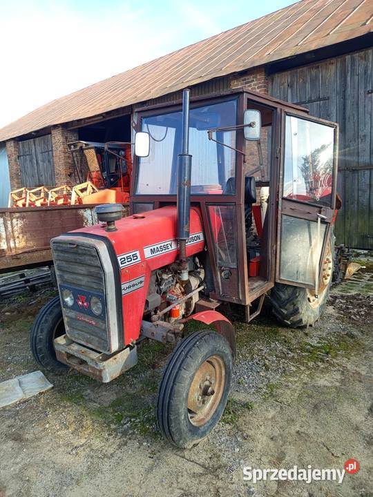 Massey Ferguson 255 Nowy Dwór