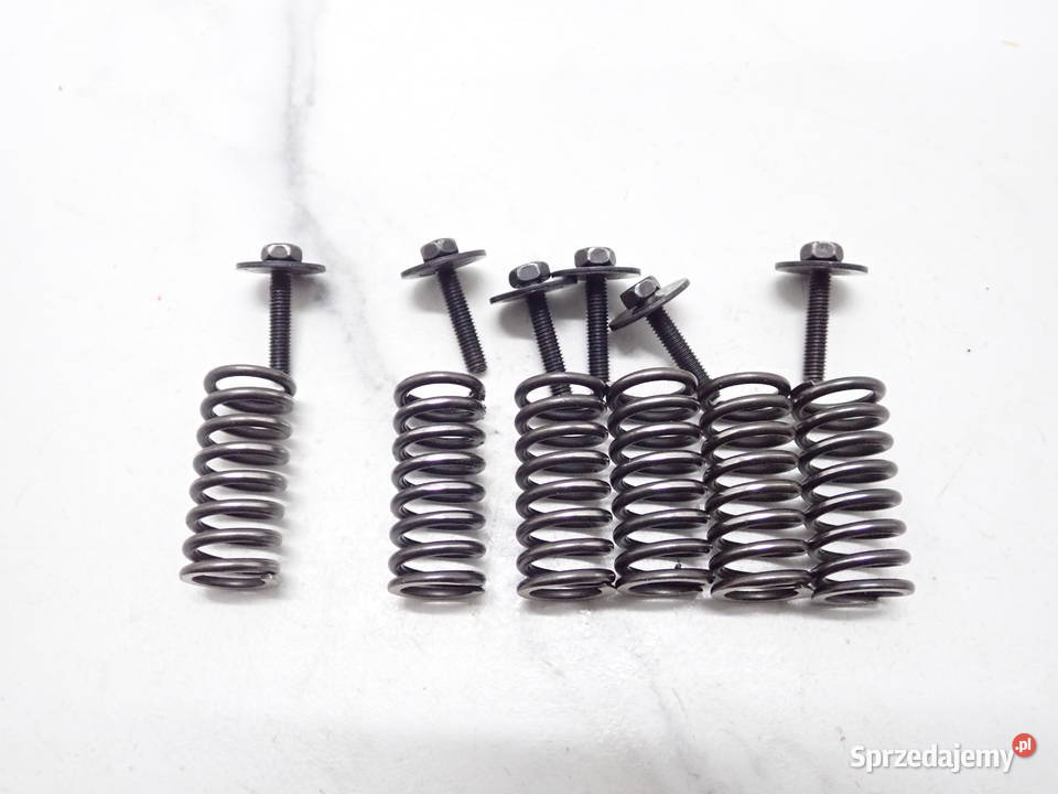 Sprężyny Śruby Kosza Sprzęgła Suzuki RM 250 lubuskie Strzelce Krajeńskie