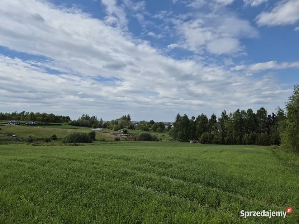 Sprzedam ziemię rolną pod siedlisko zabudowę Udorpie