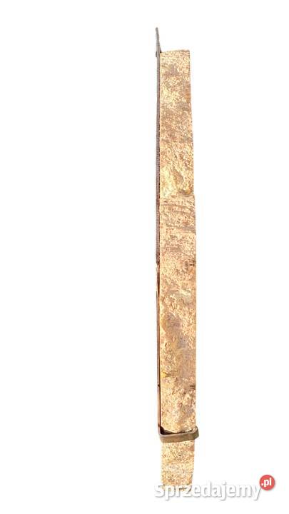 002 Wielkie skamieniałe drewno Rainbow Wood 41 x zachodniopomorskie Gryfice sprzedam